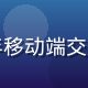 王雅琳，91浏览器用户体验总监，10年移动端交互设计经验，主导2026年全新UI改版